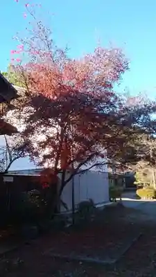 玉龍寺(岐阜県)