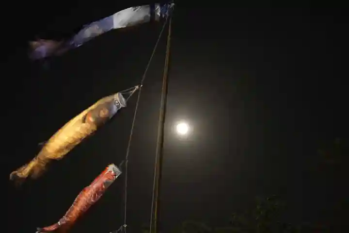 伊勢山皇大神宮の景色