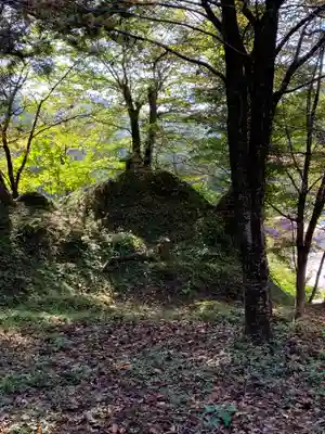 春日神社の自然
