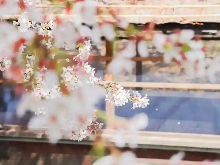長建寺(京都府)