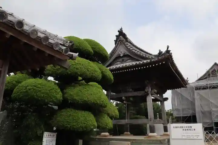 国分寺のその他建物