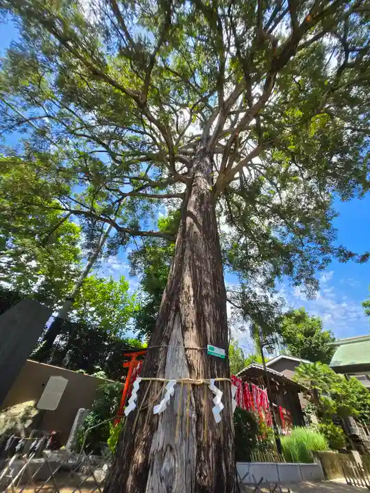 下神明天祖神社(東京都)