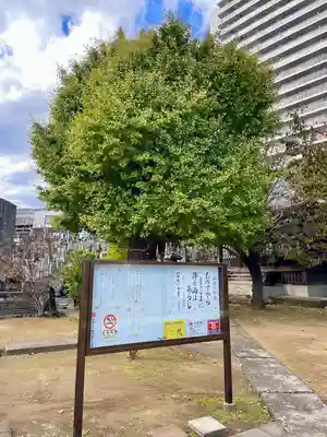 龍本寺(神奈川県)