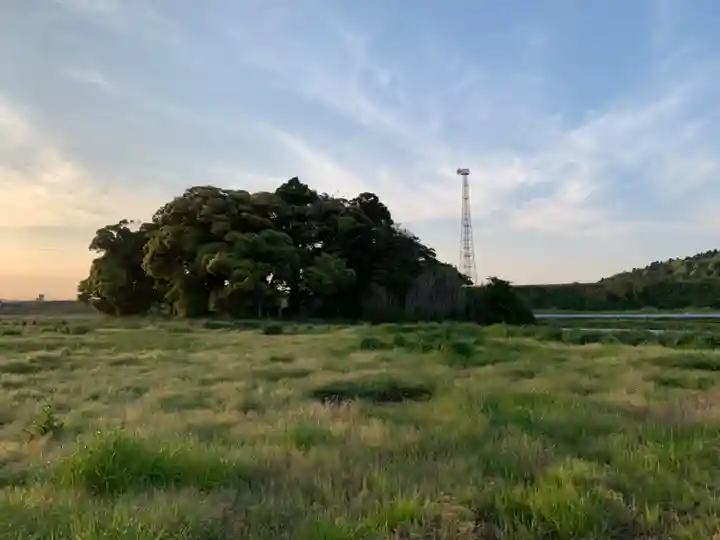 稲荷神社(千葉県)