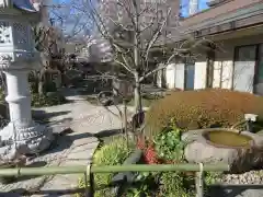 龍眼寺（萩寺）の庭園