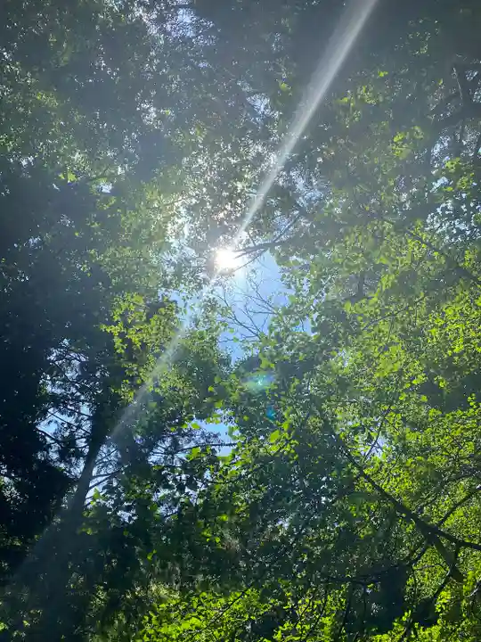 熊野神社の自然