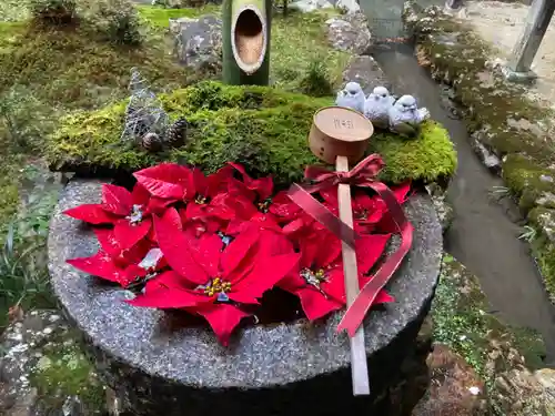 柳谷観音　楊谷寺の手水舎