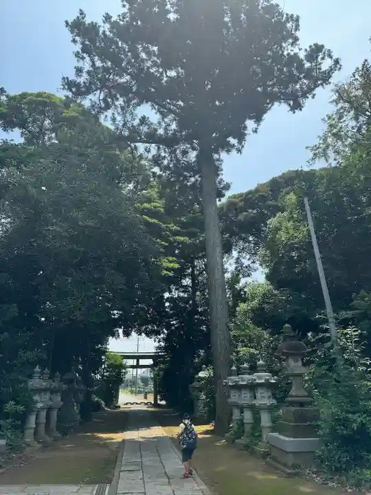 雷神社(千葉県)