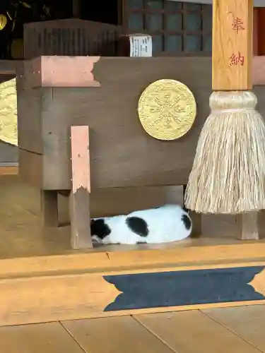 龍泉寺(愛知県)