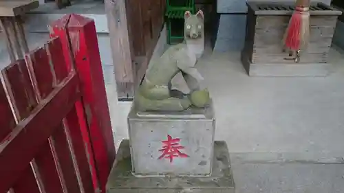 中村八幡宮の狛犬