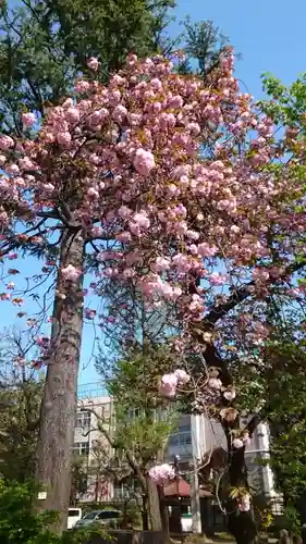 寛永寺(根本中堂)(東京都)