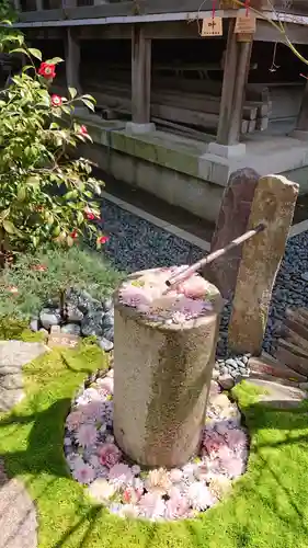 行田八幡神社の手水