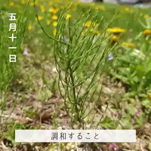 壽徳寺 じゅとくじ(福島県)(2022年05月11日(水) 14時05分44秒投稿)
