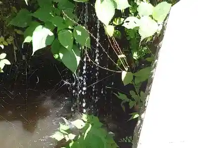 銭洗弁財天宇賀福神社(神奈川県)