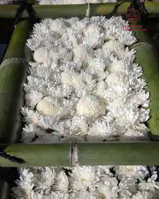 立志神社(滋賀県)