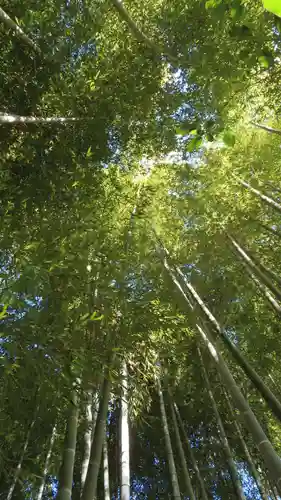 明月院(神奈川県)