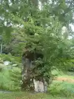 教聖寺(愛知県)