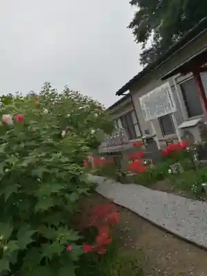 福泉寺のその他建物