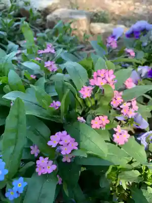 八幡神社(埼玉県)