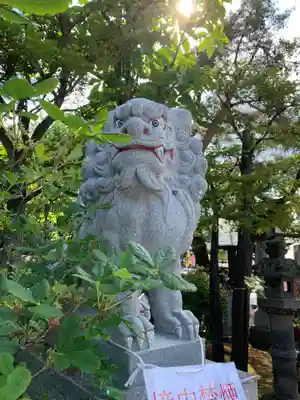 北見神社の狛犬
