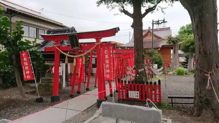 於菊稲荷神社の鳥居
