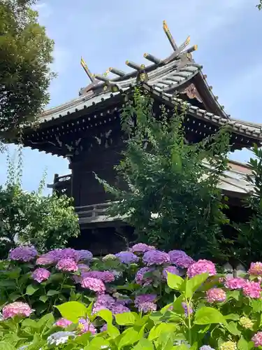 白山神社(東京都)