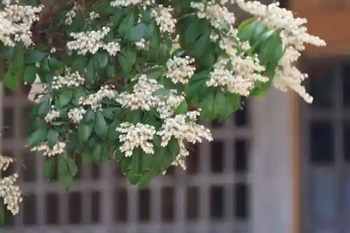 鹿股神社の庭園