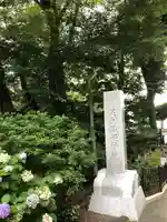 足利織姫神社(栃木県)