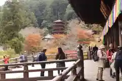 長谷寺(奈良県)