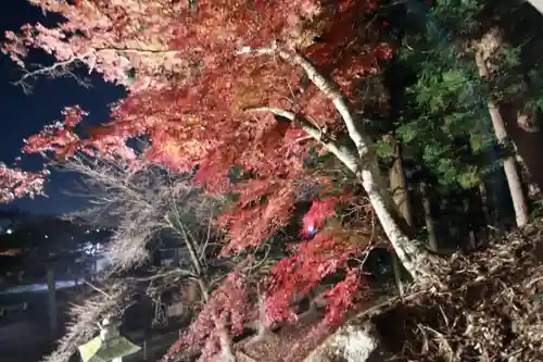 田村神社の景色