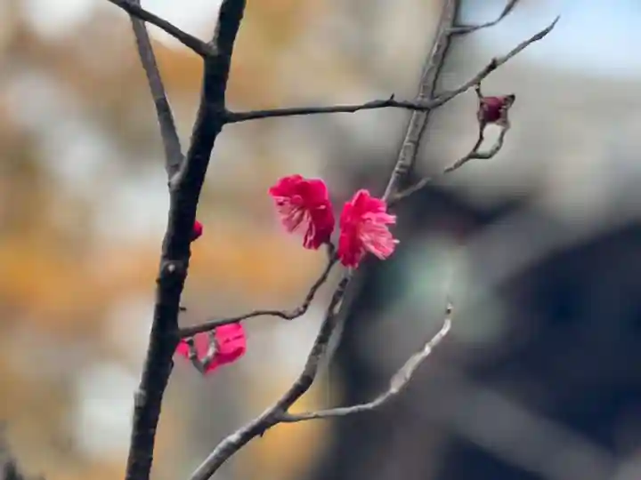 伊勢の国 四天王寺の御朱印