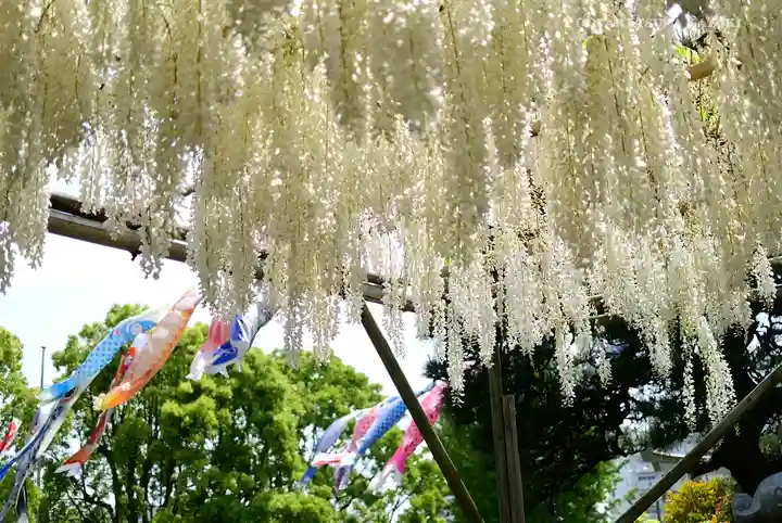 白旗神社の庭園