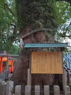 熊野那智大社(和歌山県)