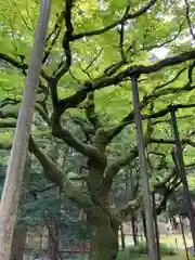 北口本宮冨士浅間神社の庭園