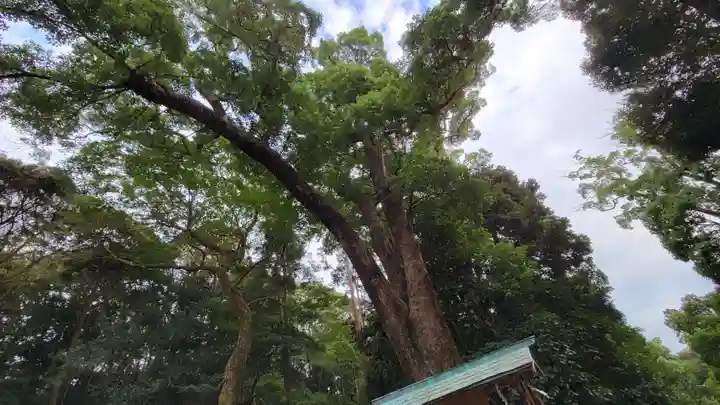 久能山東照宮の自然