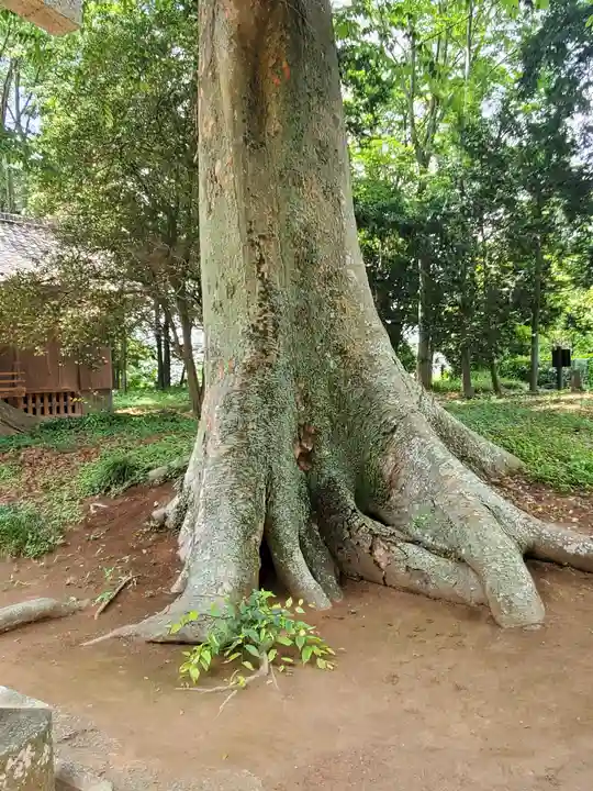 藤岡神社(栃木県)