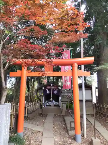 畑子安神社の鳥居