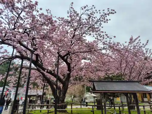 春日神社の御朱印