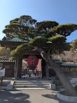 長谷寺(神奈川県)
