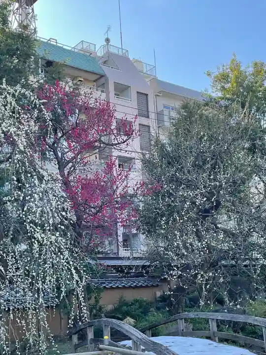 湯島天満宮(東京都)