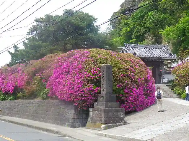 安養院 (田代寺)の周辺