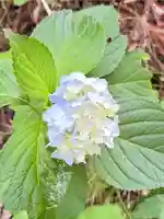 蚊里田八幡宮(長野県)