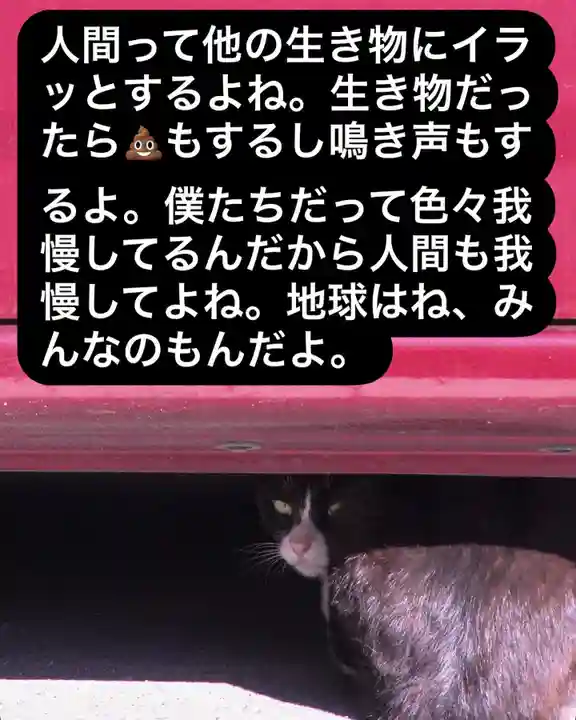 専念寺(大阪府)