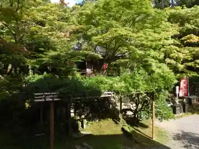 今熊野観音寺(京都府)