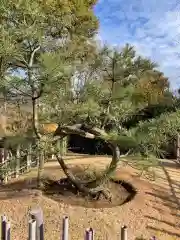 穴八幡宮(東京都)