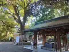 平塚八幡宮の手水