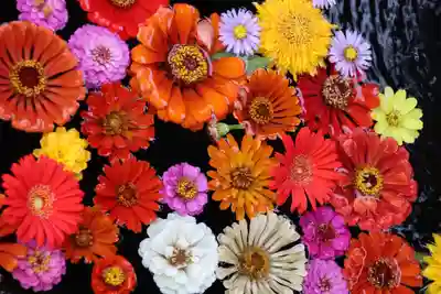 大鏑神社の手水舎