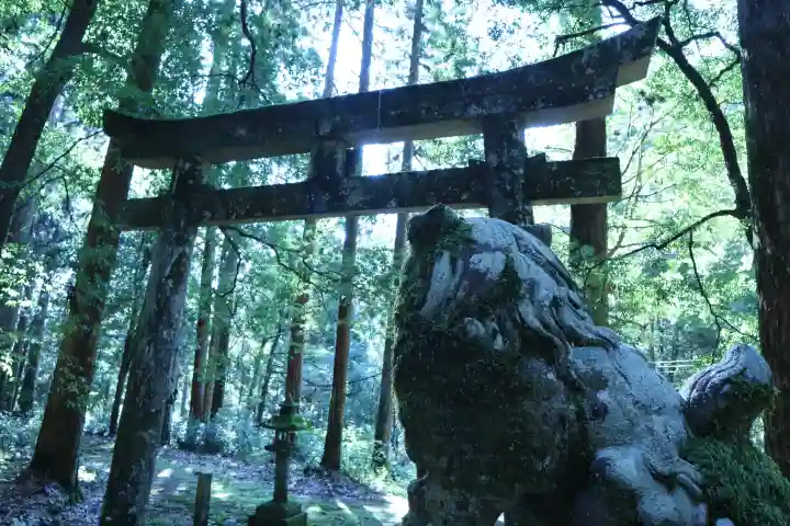瀧神社の{uncategorized: "未分類", other: "その他", undefined: "問題あり", building: "その他建物", grave: "お墓", sacred_gate: "鳥居", guardian: "狛犬", statue: "像", buddha: "仏像", history: "歴史", nature: "自然", garden: "庭園", animal: "動物", pagoda: "塔", temizu: "手水舎", mountain_gate: "山門・神門", sanctuary: "本殿・本堂", subordinate: "末社・摂社", art: "芸術", scenery: "景色", jizo: "地蔵", ema: "絵馬", goshuin: "御朱印", omikuji: "おみくじ", items: "授与品その他", amulet: "お守り", goshuincho: "御朱印帳", eats: "食事", festival: "お祭り", votive_dance: "神楽", shichigosan: "七五三参", wedding: "結婚式", experience: "体験その他", initially: "初詣", around: "周辺", anti_infection: "感染症対策"}