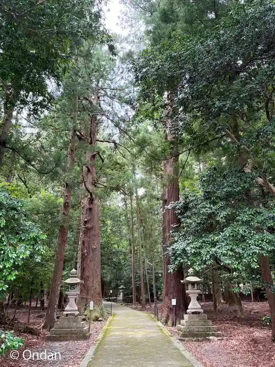 若狭彦神社(上社)(福井県)