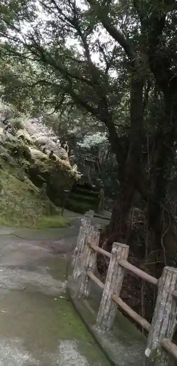 雲巌禅寺の周辺